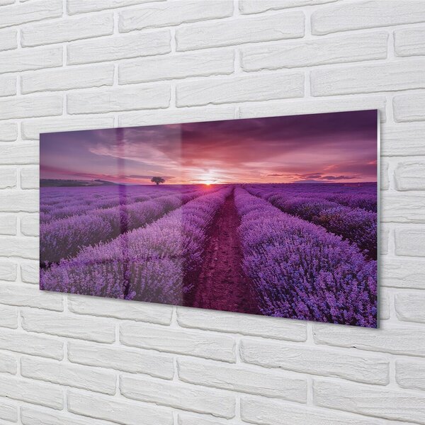 Quadro di vetro Campo di heather 100x50 cm 2 appendini