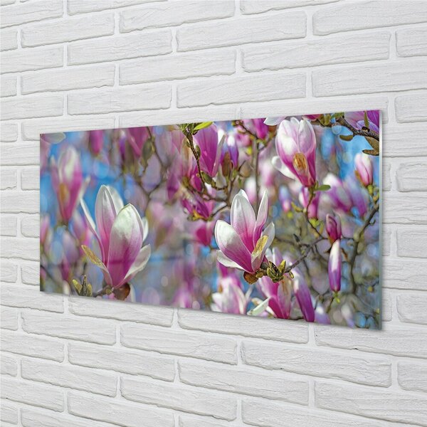 Quadro vetro Alberi di magnolia 100x50 cm 2 appendini