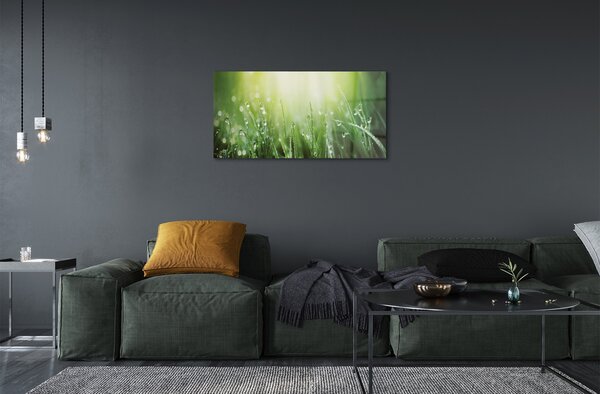 Quadro su vetro Gocce d'erba sole 100x50 cm 2 appendini