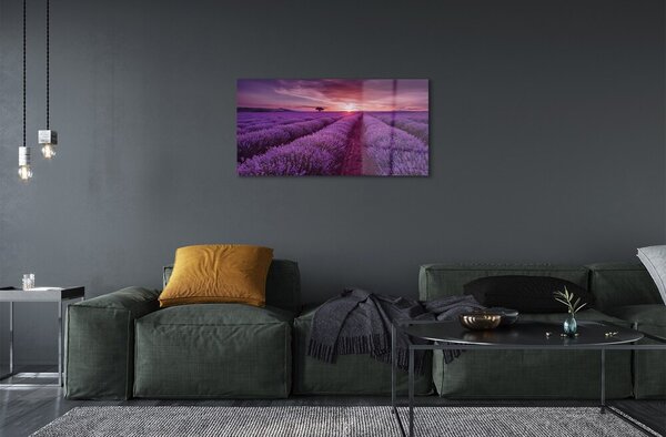Quadro di vetro Campo di heather 100x50 cm 2 appendini