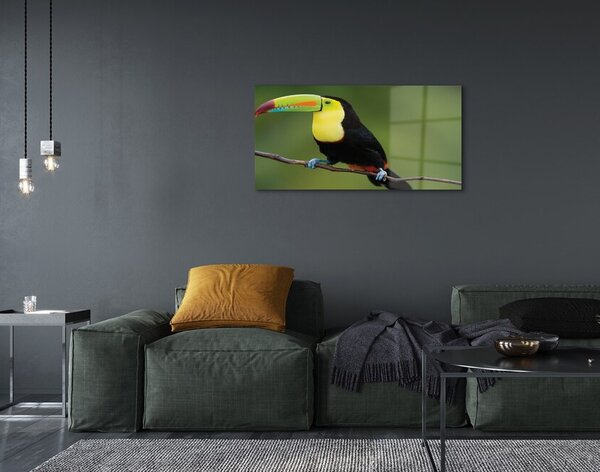 Quadro in vetro Pappagallo colorato su un ramo 100x50 cm 2 appendini
