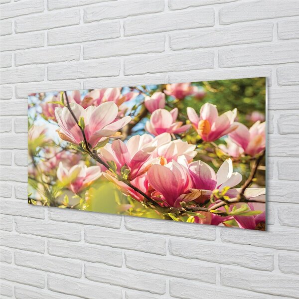 Quadro di vetro Magnolia rosa 100x50 cm 2 appendini