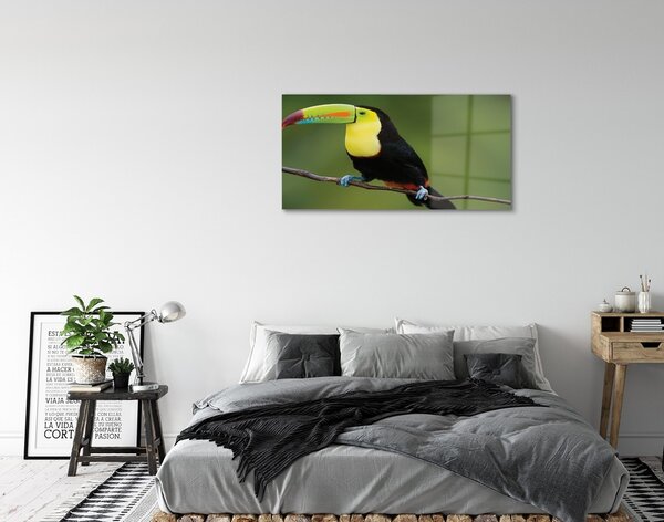 Quadro in vetro Pappagallo colorato su un ramo 100x50 cm 2 appendini