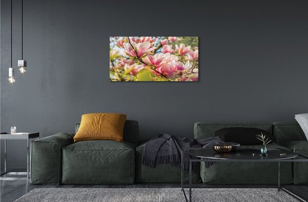 Quadro di vetro Magnolia rosa 100x50 cm 2 appendini