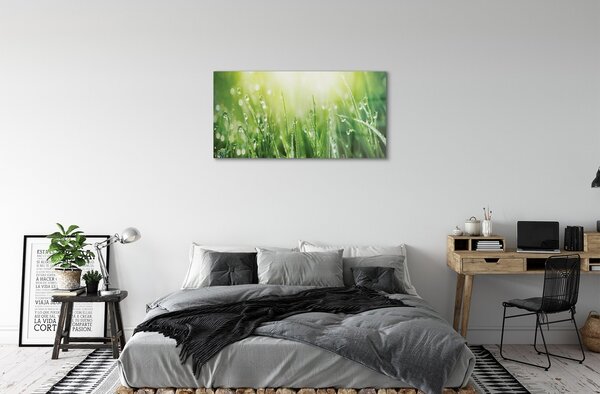 Quadro vetro Gocce d'erba sole 100x50 cm 2 appendini