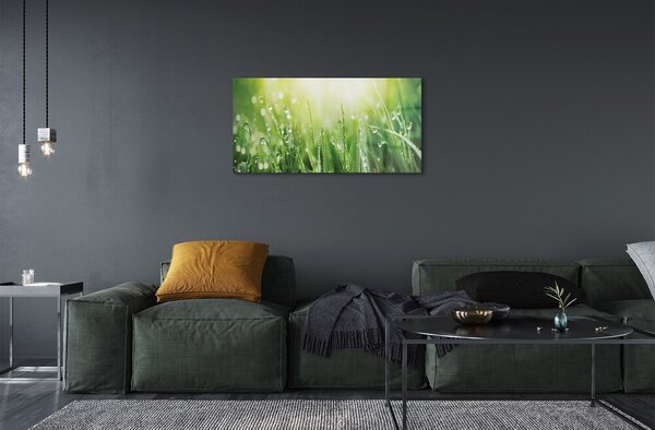 Quadro vetro Gocce d'erba sole 100x50 cm 2 appendini
