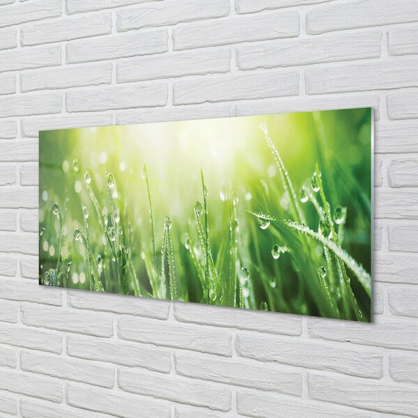Quadro vetro Gocce d'erba sole 100x50 cm 2 appendini