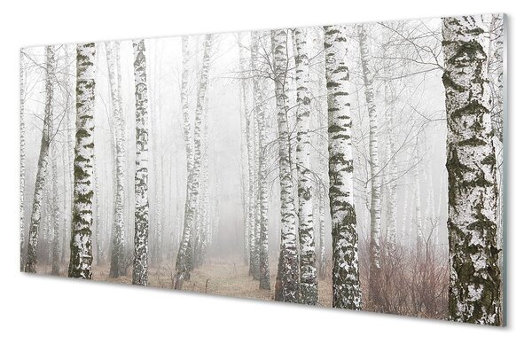 Quadro vetro Nebbia di betulla 100x50 cm