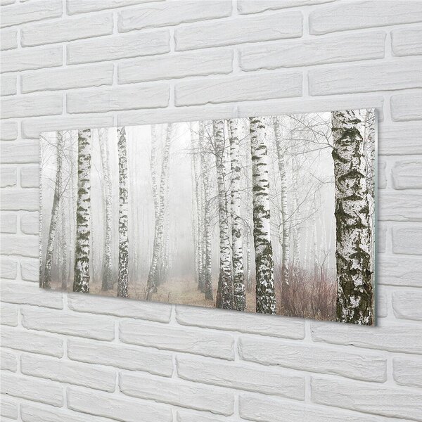 Quadro vetro Nebbia di betulla 100x50 cm 2 appendini