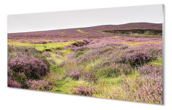 Quadro in vetro Campo di heather 100x50 cm 2 appendini