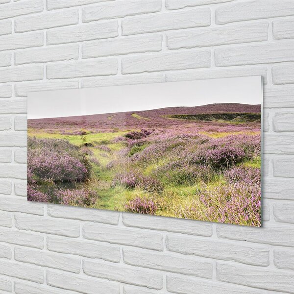 Quadro in vetro Campo di heather 100x50 cm 2 appendini
