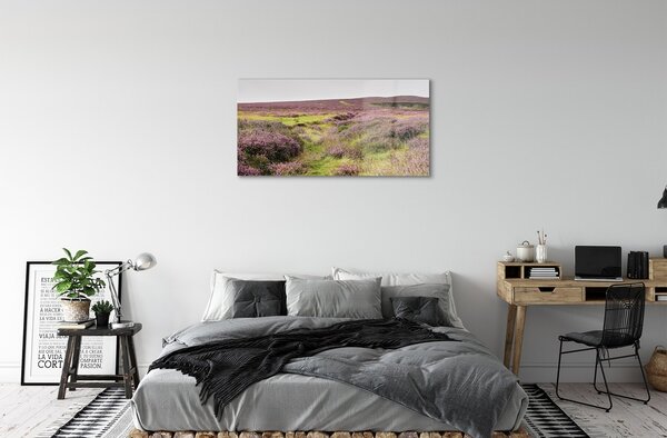 Quadro in vetro Campo di heather 100x50 cm 2 appendini