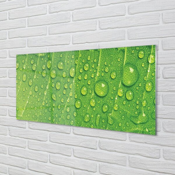 Quadro su vetro Macro gocce di foglie 100x50 cm 2 appendini
