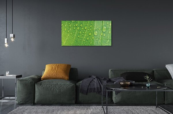 Quadro su vetro Macro gocce di foglie 100x50 cm 2 appendini