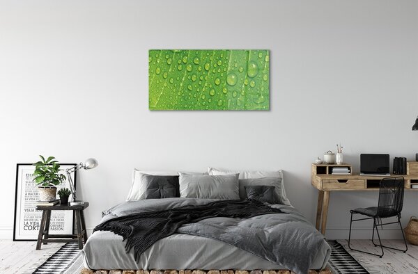 Quadro su vetro Macro gocce di foglie 100x50 cm 2 appendini