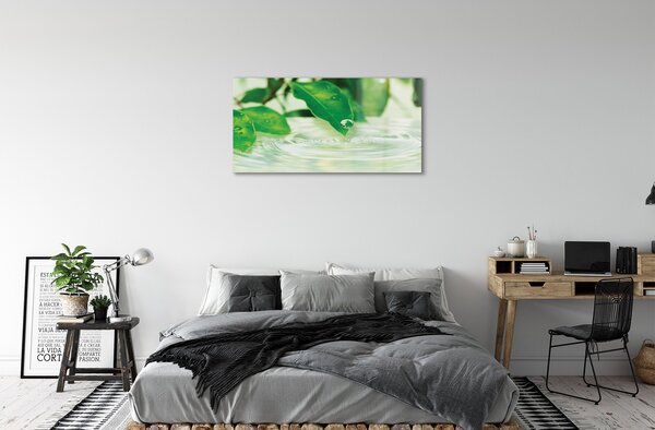 Quadro in vetro Gocce di foglie acqua 100x50 cm 2 appendini