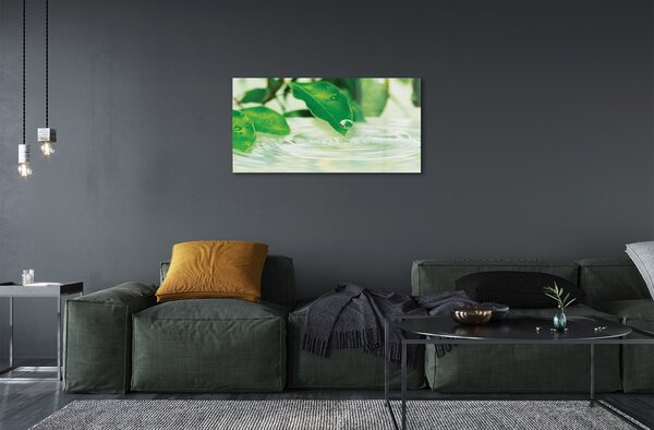 Quadro in vetro Gocce di foglie acqua 100x50 cm 2 appendini