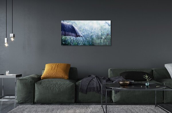 Quadro in vetro Gocce di pioggia da ombrello 100x50 cm 2 appendini