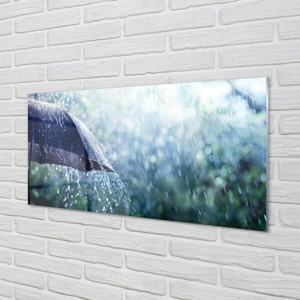 Quadro in vetro Gocce di pioggia da ombrello 100x50 cm 2 appendini
