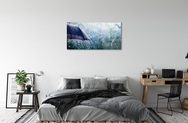 Quadro in vetro Gocce di pioggia da ombrello 100x50 cm 2 appendini