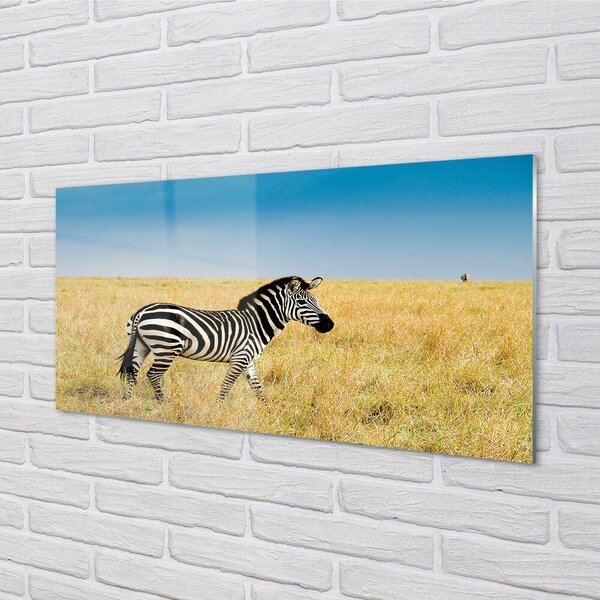 Quadro su vetro Campo zebrato 100x50 cm 2 appendini