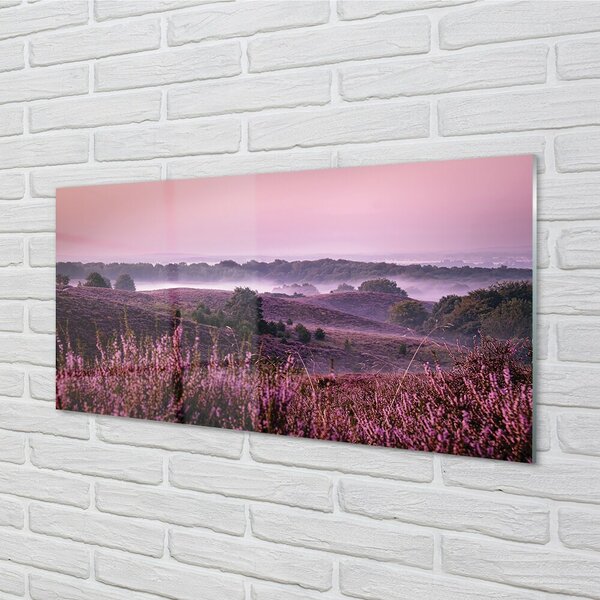 Quadro vetro Campo di heather 100x50 cm 2 appendini