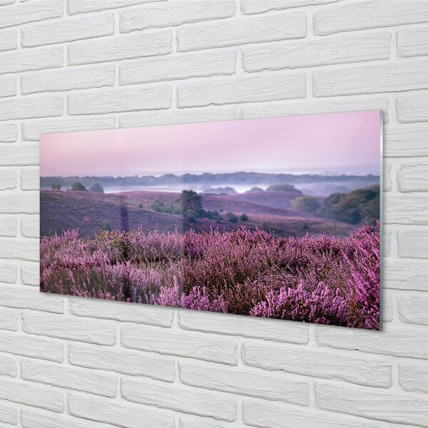 Quadro in vetro Campo di heather 100x50 cm 2 appendini