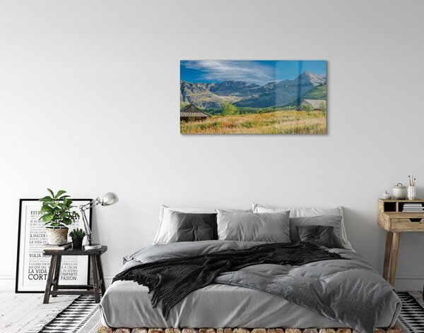 Quadro in vetro Campi di montagna cottage 100x50 cm 2 appendini
