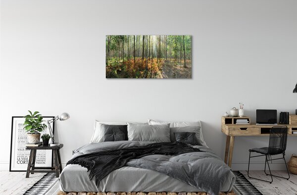Quadro di vetro Foresta di betulle 100x50 cm 2 appendini