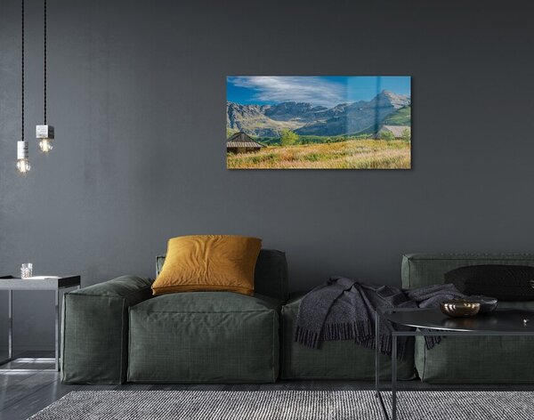 Quadro in vetro Campi di montagna cottage 100x50 cm 2 appendini