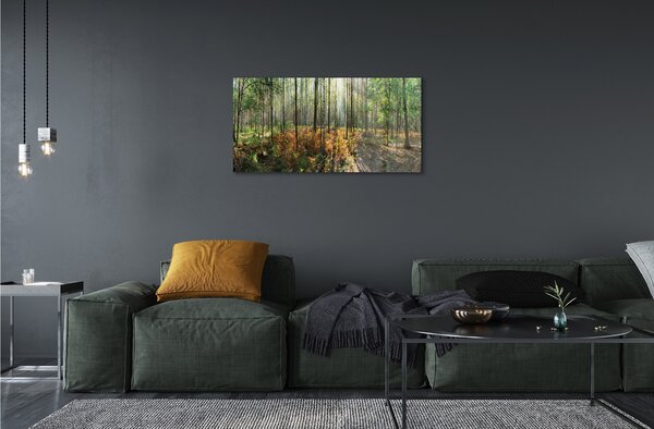 Quadro di vetro Foresta di betulle 100x50 cm 2 appendini