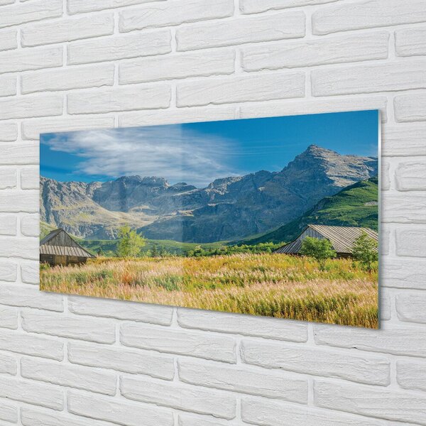 Quadro in vetro Campi di montagna cottage 100x50 cm 2 appendini