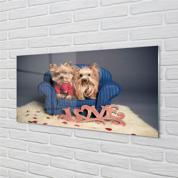Quadro su vetro Yorkies 100x50 cm 2 appendini