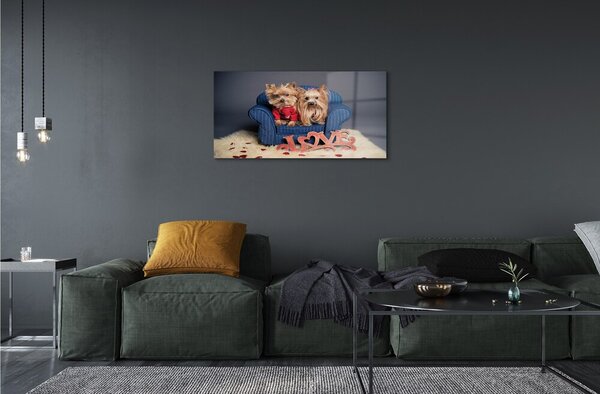 Quadro su vetro Yorkies 100x50 cm 2 appendini