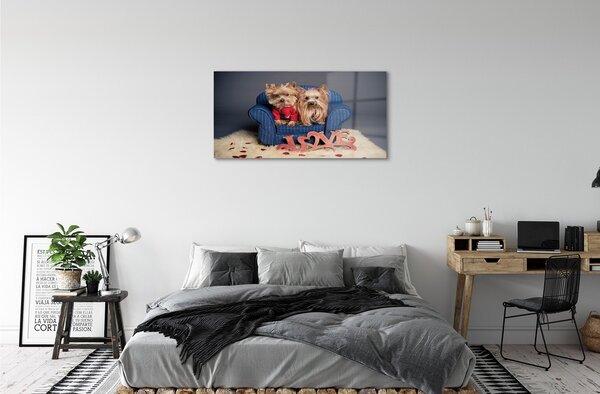 Quadro su vetro Yorkies 100x50 cm 2 appendini