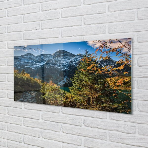 Quadro vetro Lago di montagna 100x50 cm 2 appendini