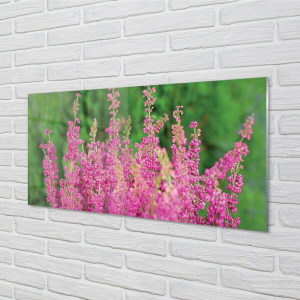 Quadro vetro Fiori di erica 100x50 cm 2 appendini