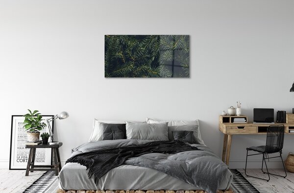 Quadro in vetro Rami dell'albero di natale 100x50 cm 2 appendini