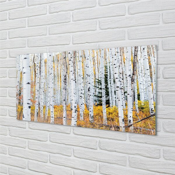 Quadro vetro Betulla d'autunno 100x50 cm 2 appendini