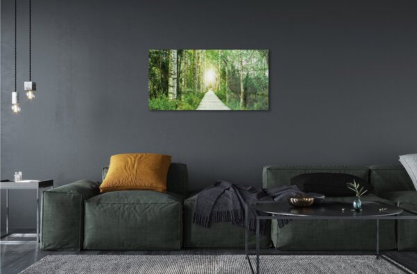 Quadro vetro Bosco stradale betulla 100x50 cm 2 appendini