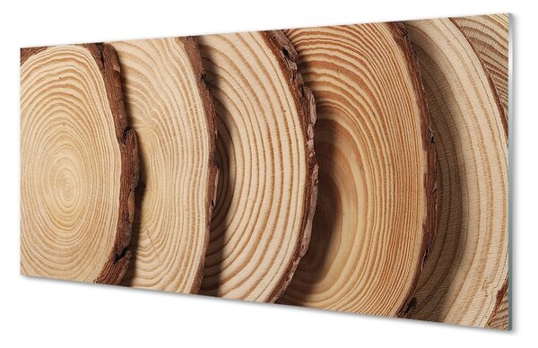 Quadro in vetro Fette di legno 100x50 cm 2 appendini
