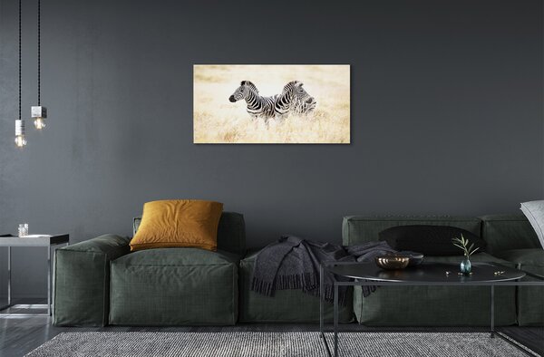 Quadro vetro Campo zebrato 100x50 cm 2 appendini