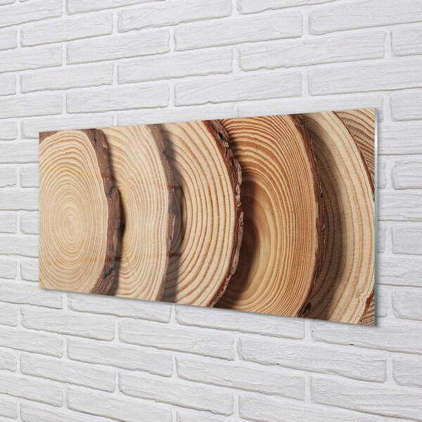 Quadro in vetro Fette di legno 100x50 cm 2 appendini
