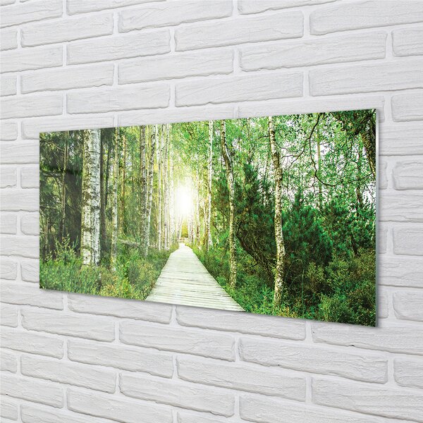 Quadro vetro Bosco stradale betulla 100x50 cm 2 appendini