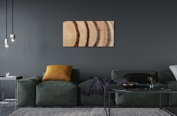 Quadro in vetro Fette di legno 100x50 cm 2 appendini