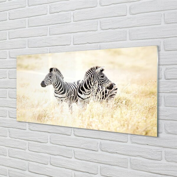 Quadro vetro Campo zebrato 100x50 cm 2 appendini