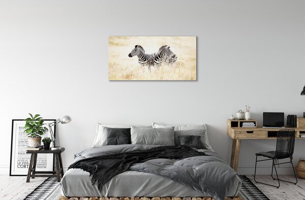 Quadro vetro Campo zebrato 100x50 cm 2 appendini