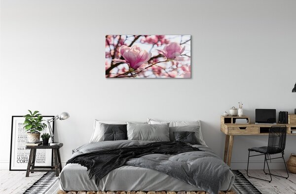 Quadro su vetro Alberi di magnolia 100x50 cm 2 appendini