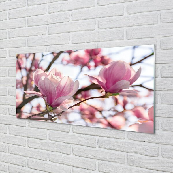 Quadro su vetro Alberi di magnolia 100x50 cm 2 appendini