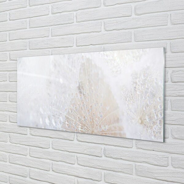 Quadro in vetro Gocce di dente di leone astratto 100x50 cm 2 appendini